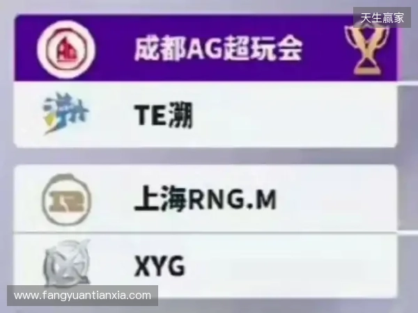 2025王者挑杯抽签结果公布 TE溯将迎战AG超玩会