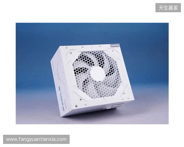 黑白双鹰，白金降临：技嘉猎鹰 冰猎鹰白金电源4月27日开售